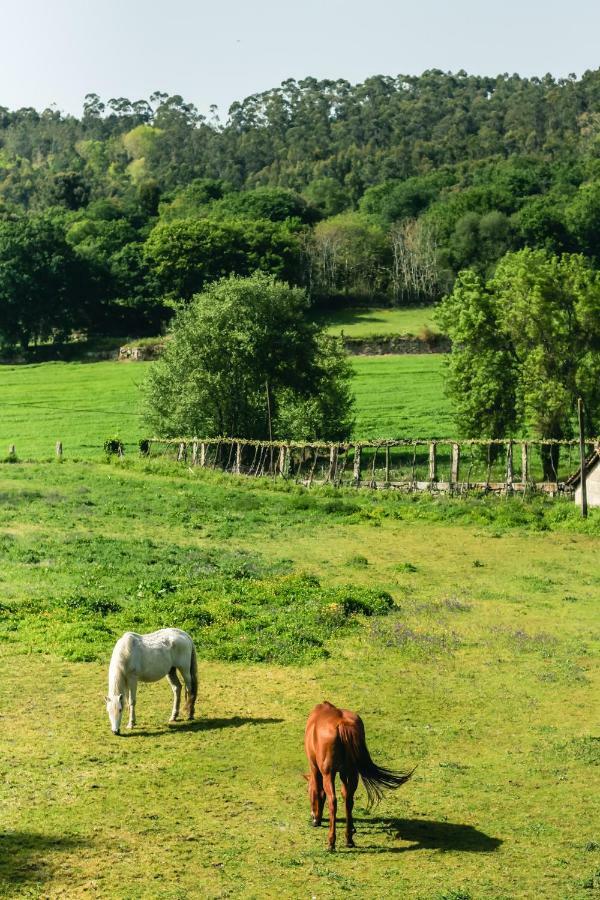 Quinta De Pindela - Natureza E Tradicao Villa Vila Nova de Famalicao Ngoại thất bức ảnh